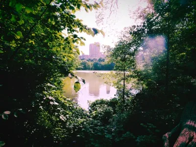 Summer in NYC photograph 17